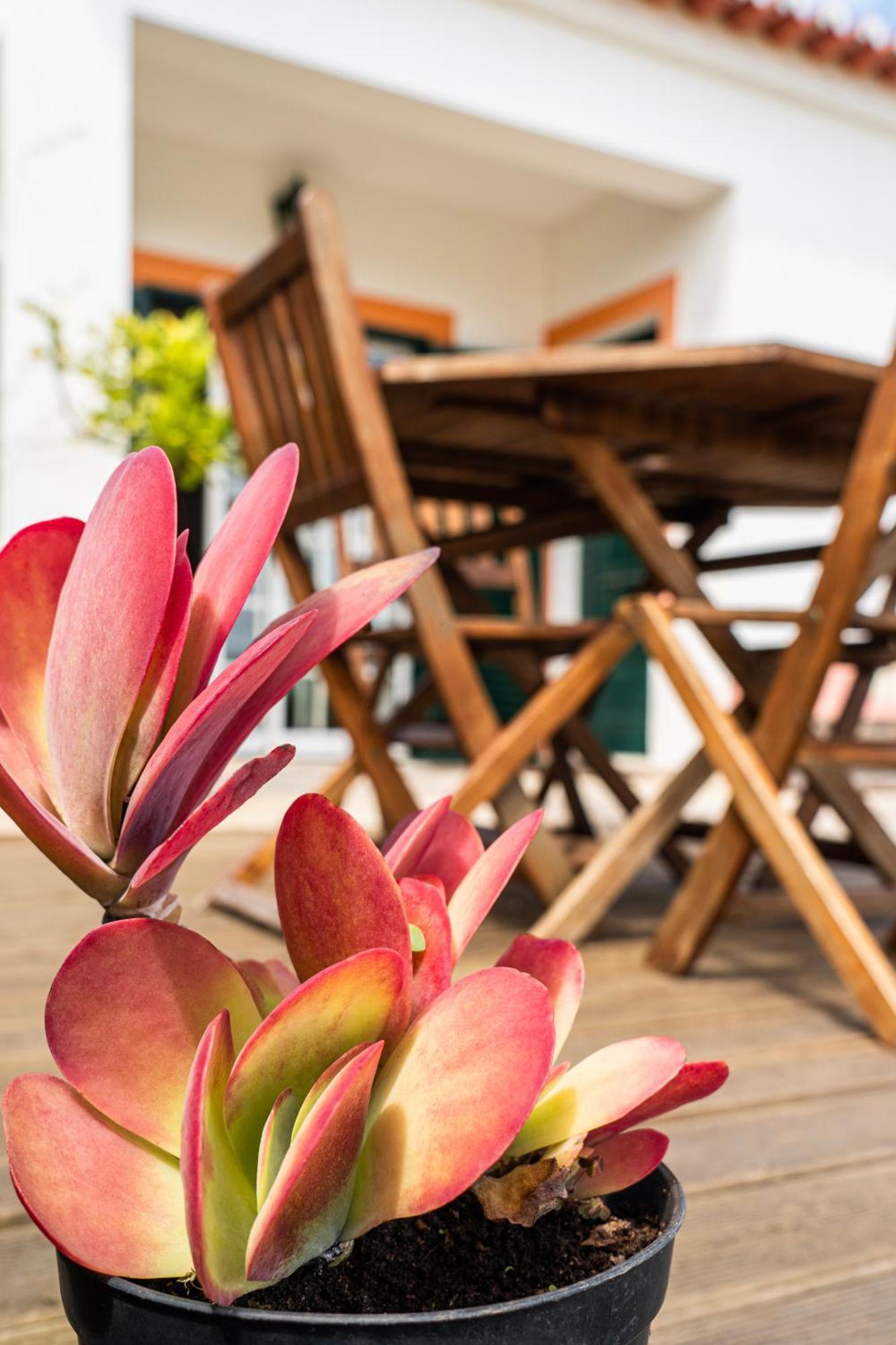 ألخيزور Casa Codebo - Bed & Breakfast المظهر الخارجي الصورة